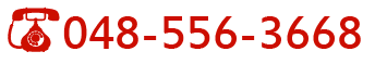 048-556-3668
