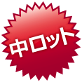 中ロット